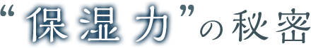 “保湿力”の秘密