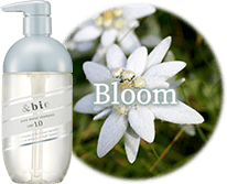 Bloom