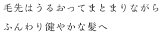 毛先はうるおってまとまりながらふんわり健やかな髪へ